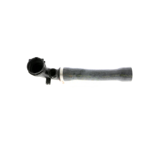 VAICO Radiator Hose V20-1925