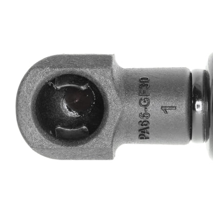VAICO Gas Spring, boot/cargo area V20-2051