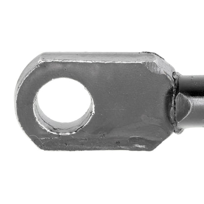 VAICO Gas Spring, boot/cargo area V20-2055