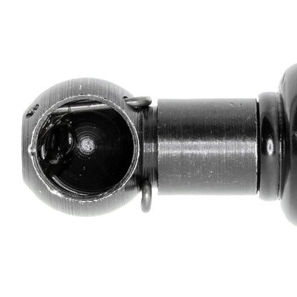VAICO Gas Spring, boot/cargo area V20-2055