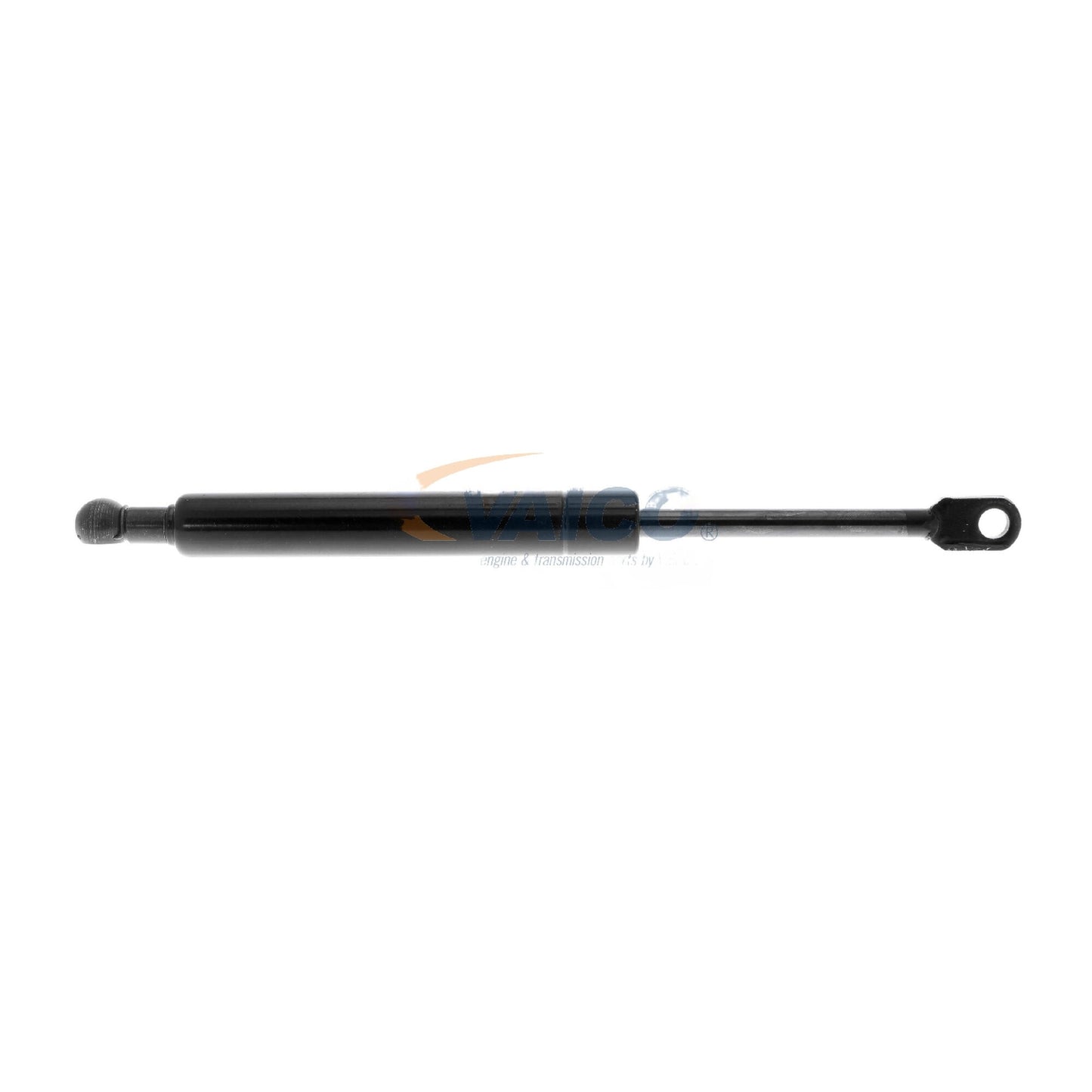 VAICO Gas Spring, boot/cargo area V20-2055