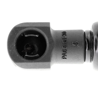 VAICO Gas Spring, boot/cargo area V20-2056