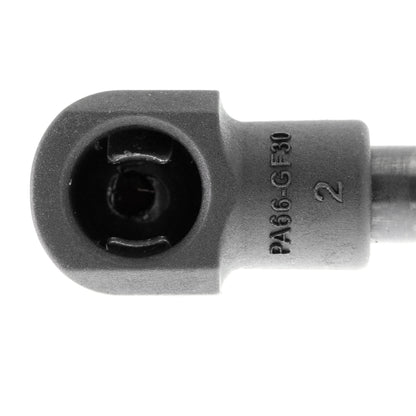 VAICO Gas Spring, boot/cargo area V20-2056