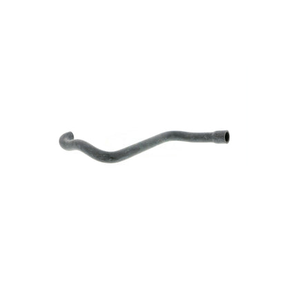VAICO Hose, cylinder head cover ventilation V20-2080