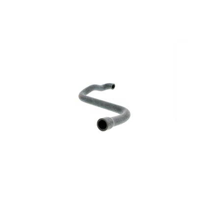VAICO Hose, cylinder head cover ventilation V20-2080