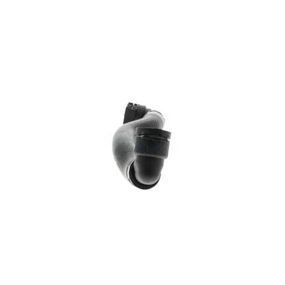 VAICO Radiator Hose V20-2174