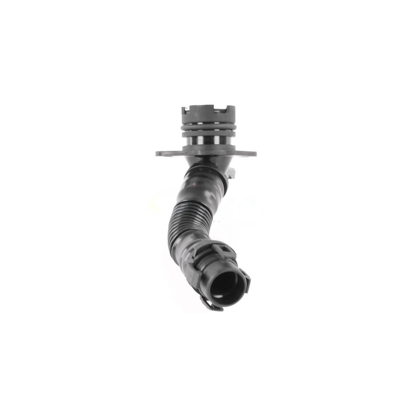 VAICO Hose, crankcase ventilation V20-2193