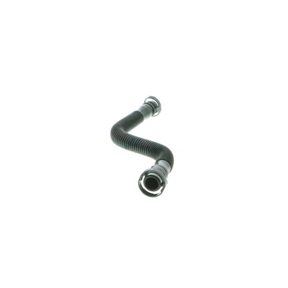 VAICO Hose, crankcase ventilation V20-2194