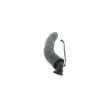 VAICO Hose, crankcase ventilation V20-2276