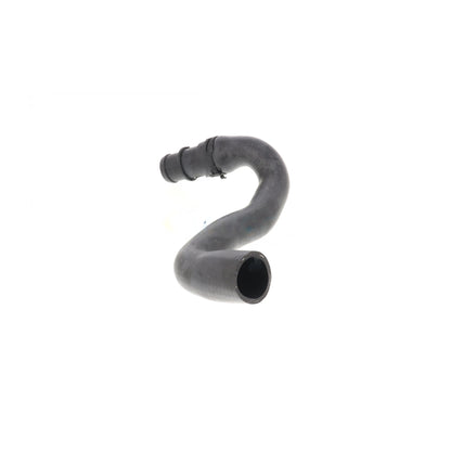 VAICO Radiator Hose V20-2462