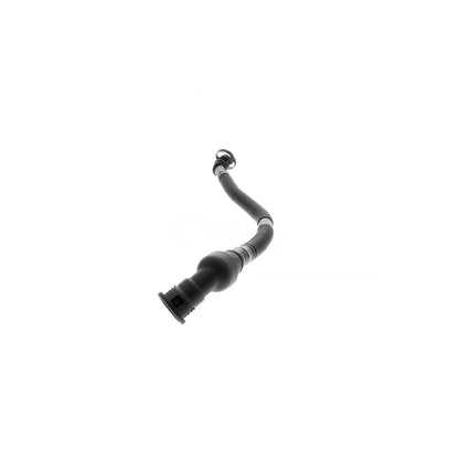 VAICO Hose, crankcase ventilation V20-2731