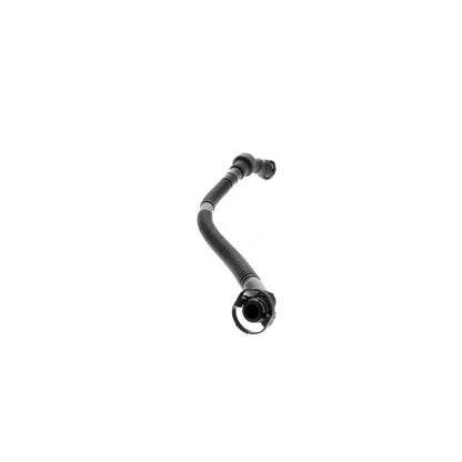 VAICO Hose, crankcase ventilation V20-2731