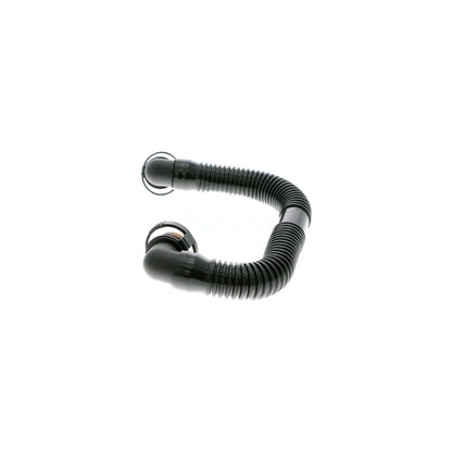 VAICO Hose, air supply V20-2935