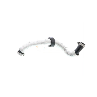 VAICO Radiator Hose V20-2946