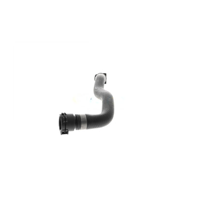 VAICO Radiator Hose V20-3862