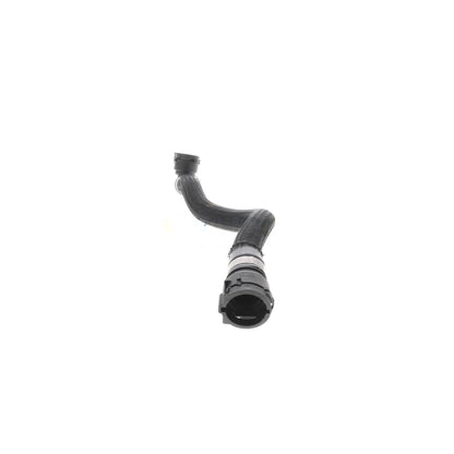 VAICO Radiator Hose V20-3887