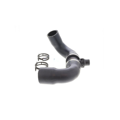 VAICO Radiator Hose V20-4244