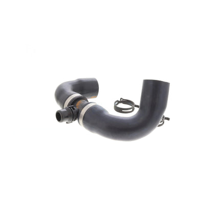 VAICO Radiator Hose V20-4244