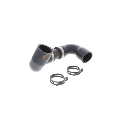 VAICO Radiator Hose V20-4244