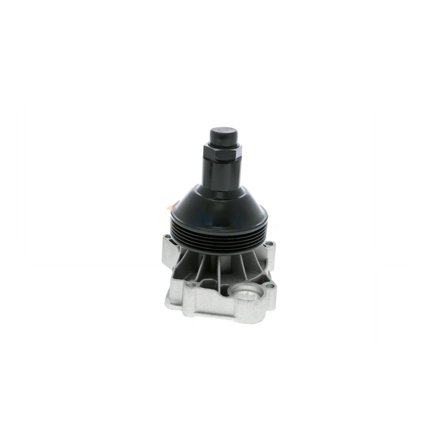VAICO Water Pump, engine cooling V20-50038