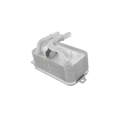 VEMO Oil Cooler, engine oil V20-60-0001