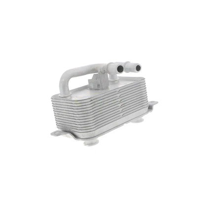 VEMO Oil Cooler, engine oil V20-60-0001