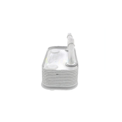 VEMO Oil Cooler, automatic transmission V20-60-0002