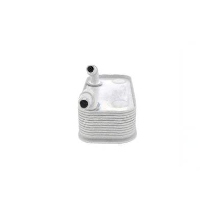 VEMO Oil Cooler, automatic transmission V20-60-0002