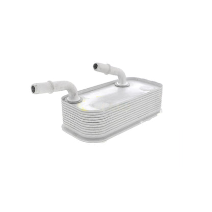 VEMO Oil Cooler, automatic transmission V20-60-0002