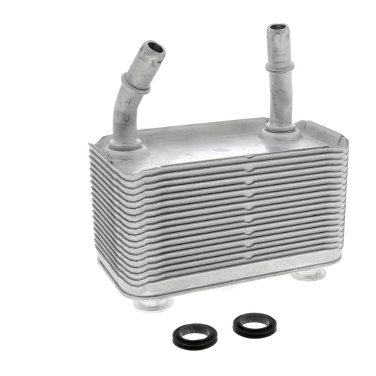VEMO Oil Cooler, automatic transmission V20-60-0003
