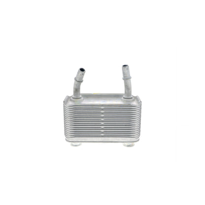 VEMO Oil Cooler, automatic transmission V20-60-0003