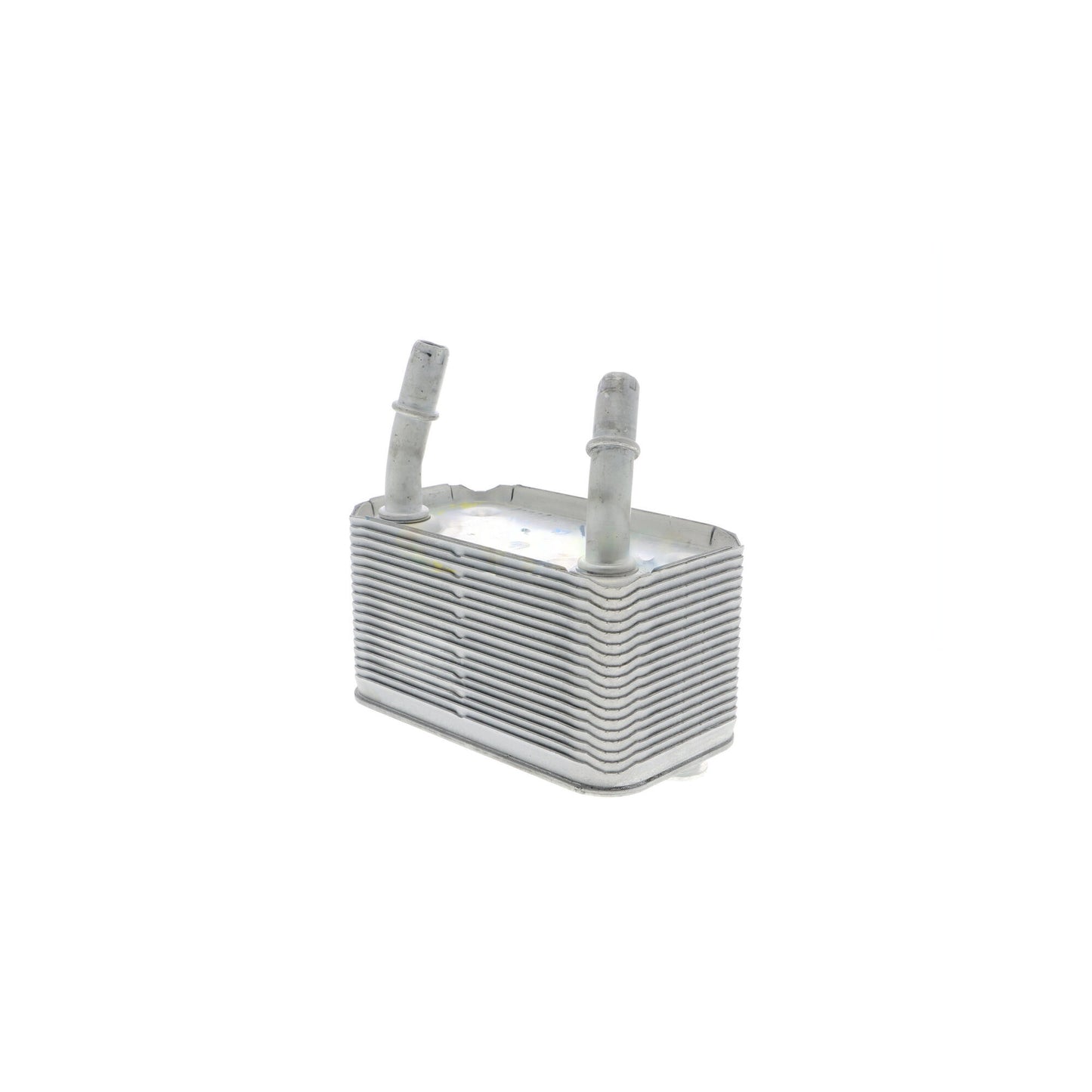 VEMO Oil Cooler, automatic transmission V20-60-0003