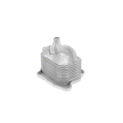 VEMO Oil Cooler, engine oil V20-60-0031
