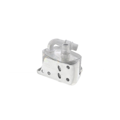 VEMO Oil Cooler, engine oil V20-60-0031