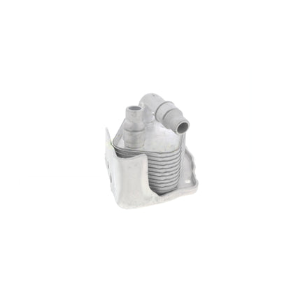 VEMO Oil Cooler, engine oil V20-60-0031