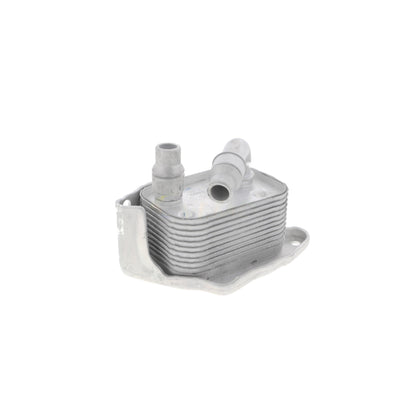 VEMO Oil Cooler, engine oil V20-60-0031