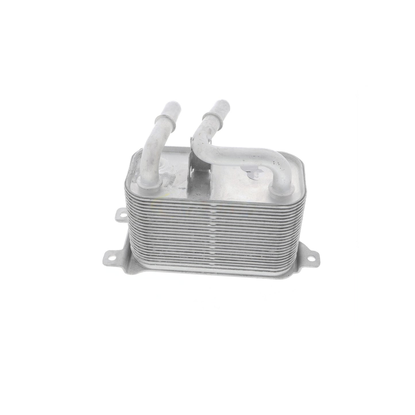 VEMO Oil Cooler, automatic transmission V20-60-0032