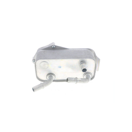 VEMO Oil Cooler, engine oil V20-60-0040