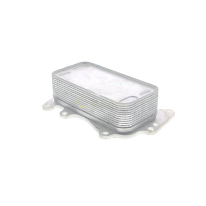 VEMO Oil Cooler, engine oil V20-60-0041