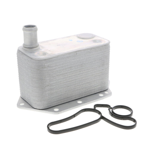 VEMO Oil Cooler, engine oil V20-60-0042