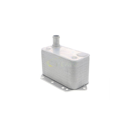 VEMO Oil Cooler, engine oil V20-60-0042