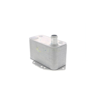 VEMO Oil Cooler, engine oil V20-60-0042
