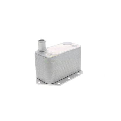 VEMO Oil Cooler, engine oil V20-60-0042