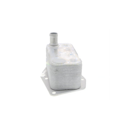 VEMO Oil Cooler, engine oil V20-60-0043