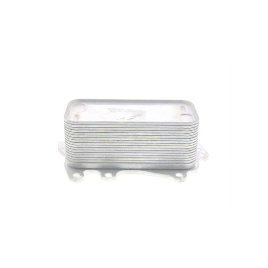 VEMO Oil Cooler, engine oil V20-60-0044