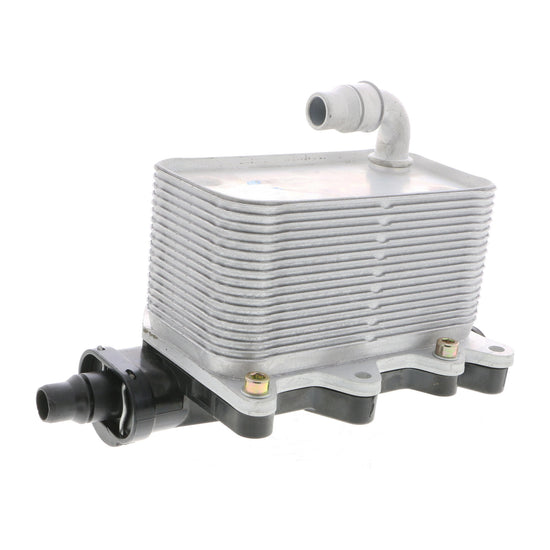 VEMO Oil Cooler, engine oil V20-60-0046