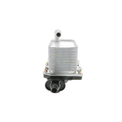 VEMO Oil Cooler, engine oil V20-60-0046