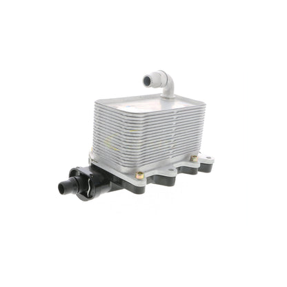 VEMO Oil Cooler, engine oil V20-60-0046