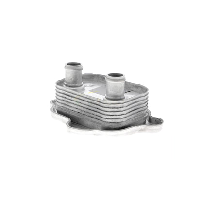 VEMO Oil Cooler, engine oil V20-60-0051