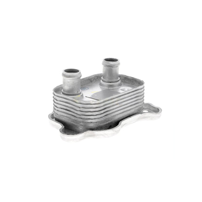 VEMO Oil Cooler, engine oil V20-60-0051